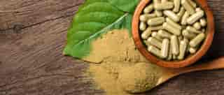 Bali Kratom: Characteristics of Red, White, and Green Strains