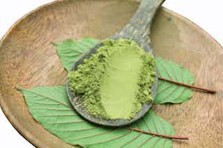 Unveiling the Roots and Traits of Red Hulu Kratom